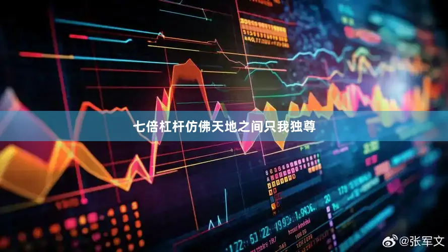 七倍杠杆仿佛天地之间只我独尊