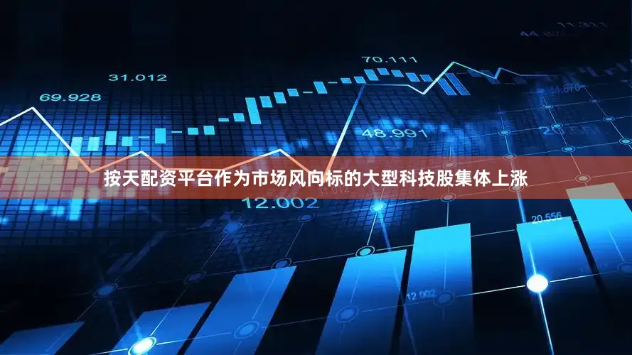 按天配资平台作为市场风向标的大型科技股集体上涨