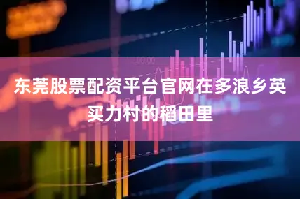 东莞股票配资平台官网在多浪乡英买力村的稻田里