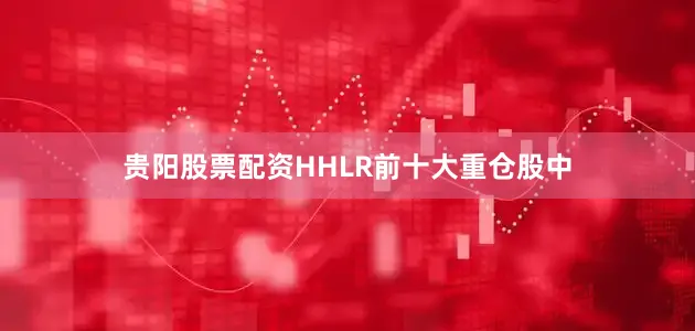 贵阳股票配资HHLR前十大重仓股中